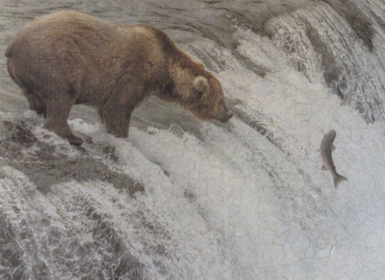 Cl;ose up of photo of printed fabric of bear fishing. Printed on marbled printable cotton fabric