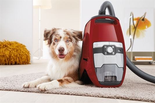 Miele Blizzard CX1 HomeCare Bagless canister picture with dog